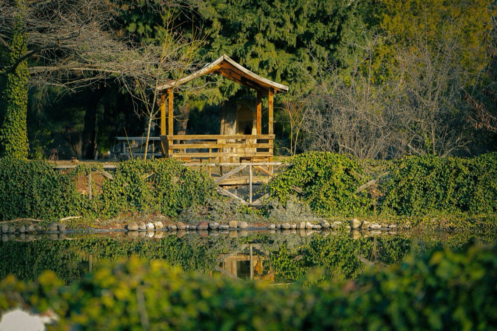 Atmospheric garden gazebo used as concept imagery